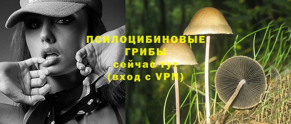 скорость Ладушкин