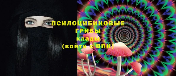 скорость Ладушкин