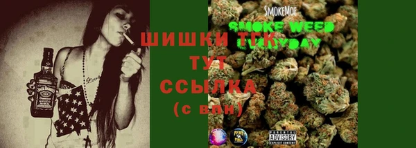 скорость Ладушкин