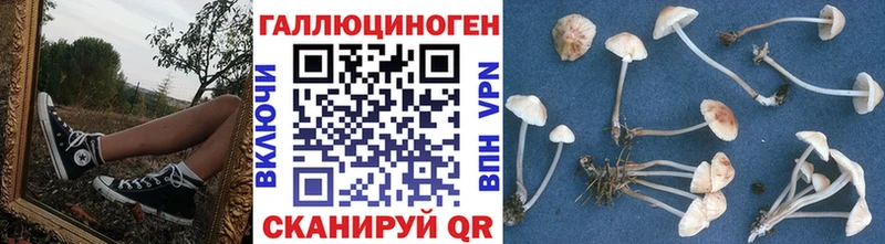 Купить  Заозёрный  Псилоцибиновые грибы Cubensis 