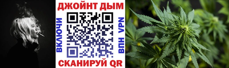 Каннабис OG Kush Заозёрный