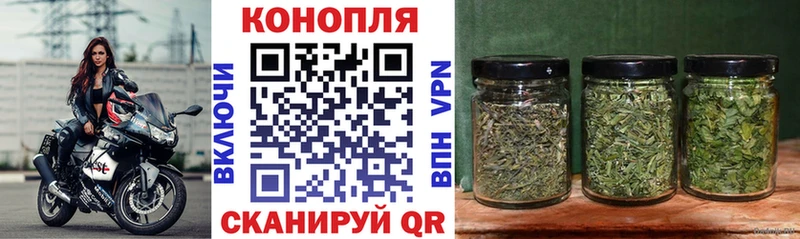 Купить  Заозёрный  Конопля планчик 